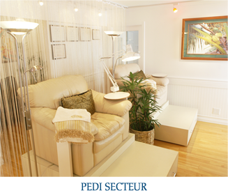 PEDI SECTEUR